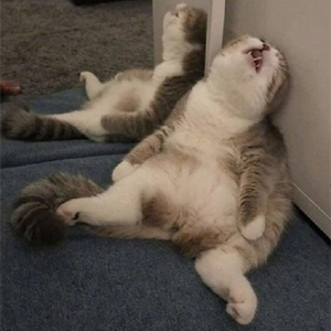 爆笑！遇上日本“靈魂翻譯”，身經(jīng)百戰(zhàn)的國乒高手都懵了